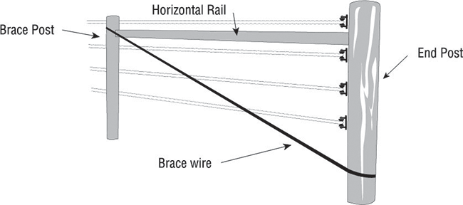 Brace Wire Diagram