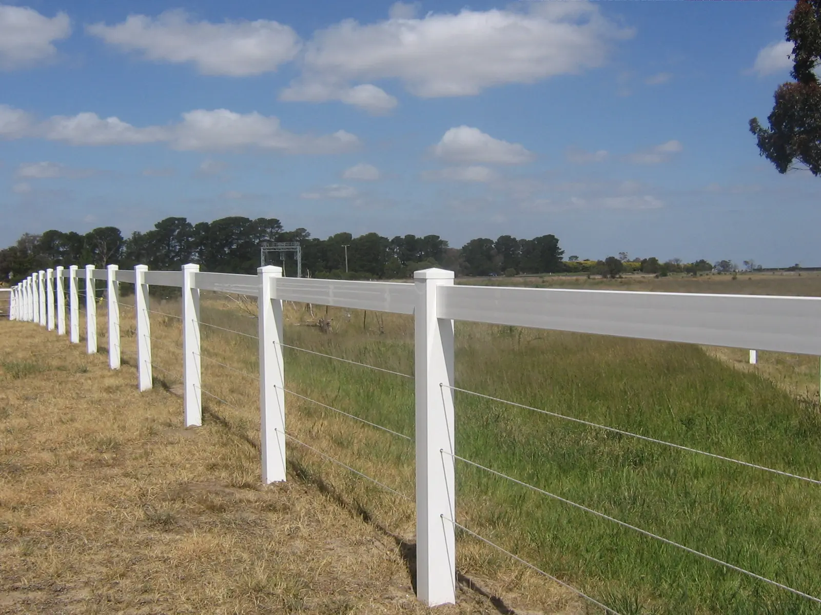 vinyl top board example 5