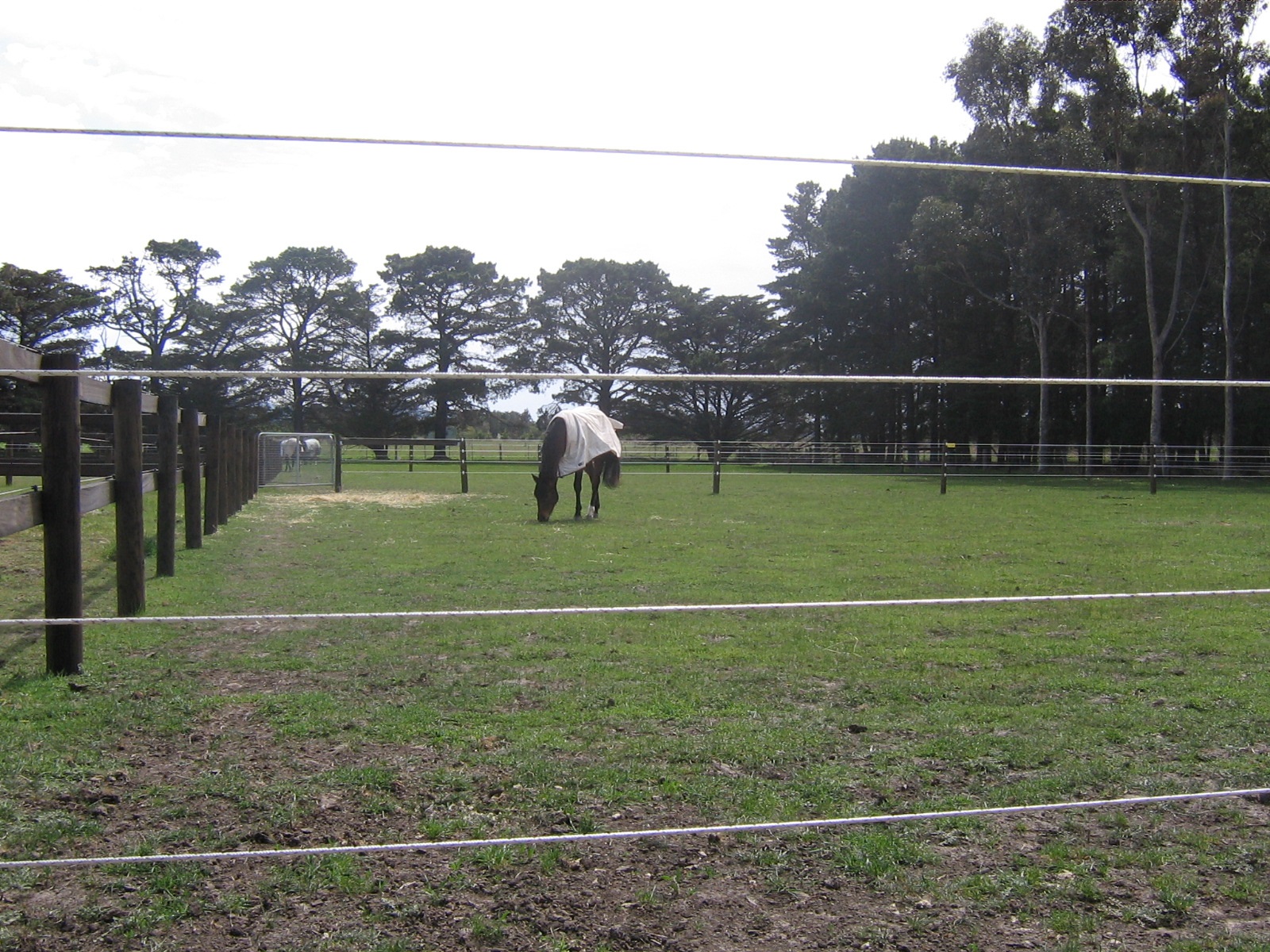 wood paddock visibility example