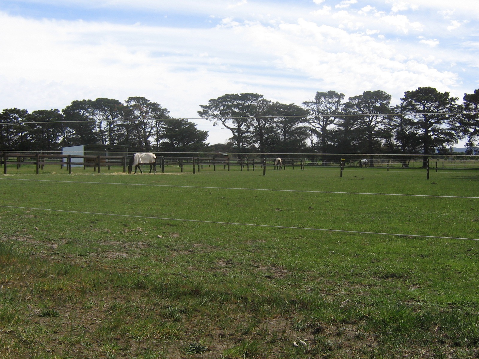 wood paddock visibility2 example