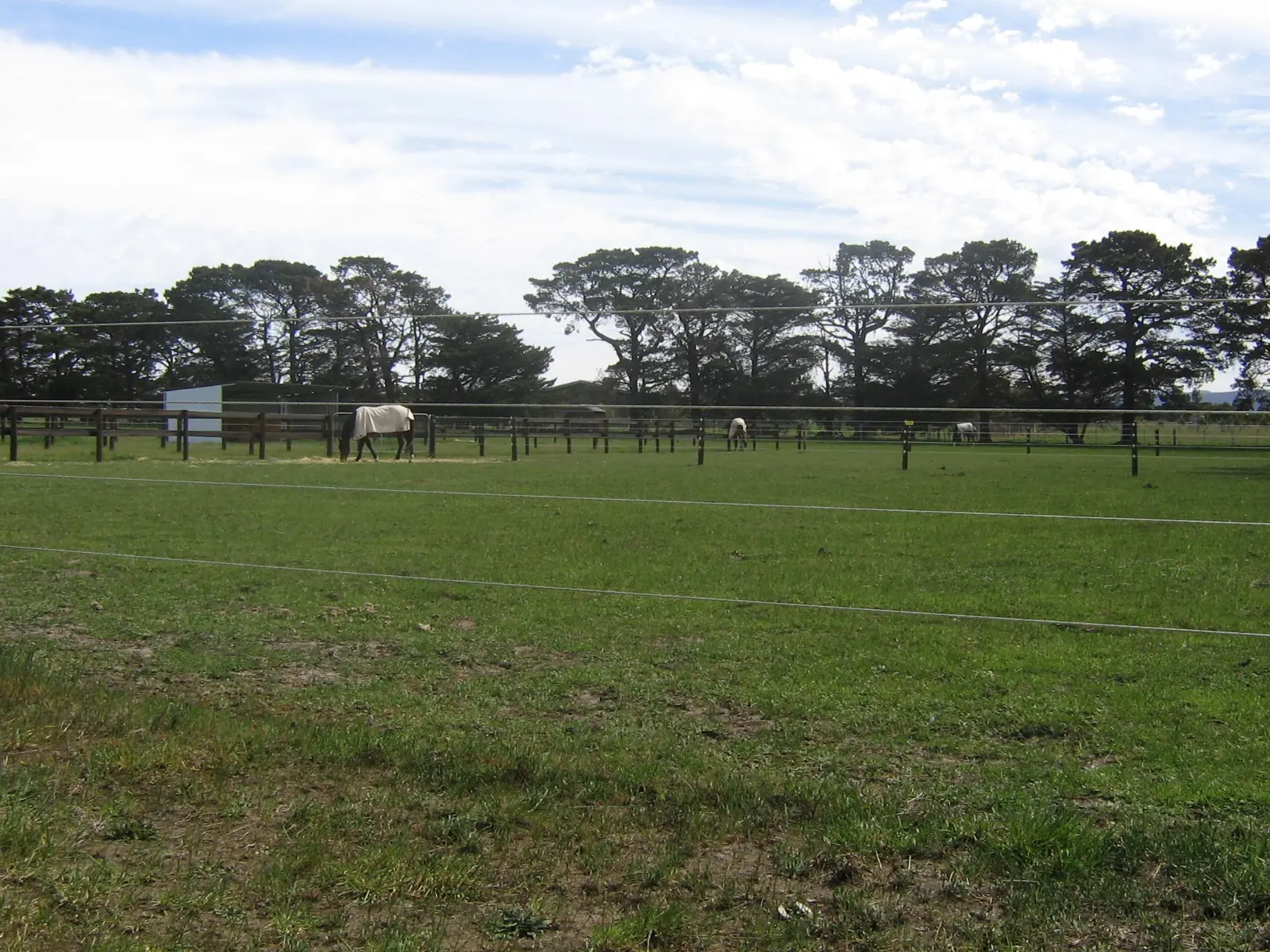 wood paddock visibility example 2