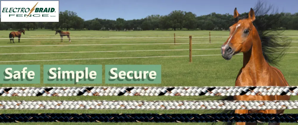 ElectroBraid electric horse fence in green pasture with horses within multiple paddocks