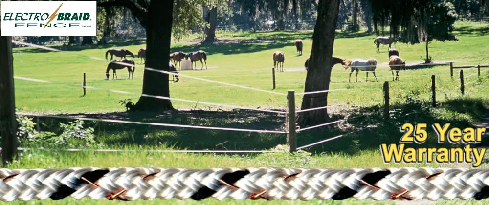 Horses peacefully and safely behind an ElectroBraid electric fence