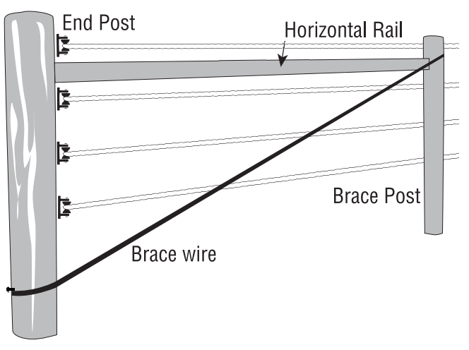 Brace Wire Diagram